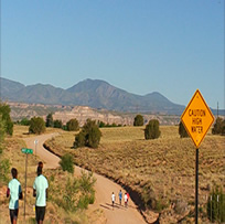 group runners on road